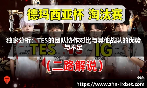 独家分析：TES的团队协作对比与其他战队的优势与不足